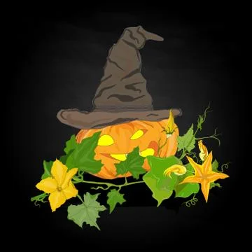 Pumpkin vector illustration Stock Illustration