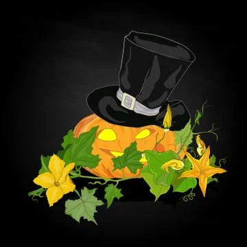 Pumpkin vector illustration Stock Illustration