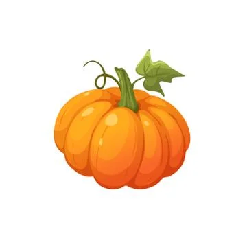 Pumpkin vector illustration Stock Illustration