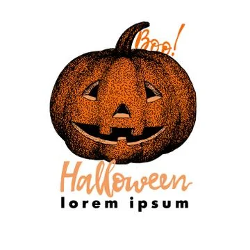 Pumpkin vector illustration. Isolated hand drawn Halloween design elements Stock Illustration