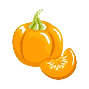 Pumpkin vector illustration round, segmented orange pumpkin with smooth Stock Illustration