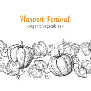 Pumpkin vector seamless pattern. Hand drawn vintage border. Harvest festival 스톡 일러스트