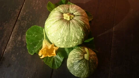 Pumpkin vegetable. Stock Footage 254466412