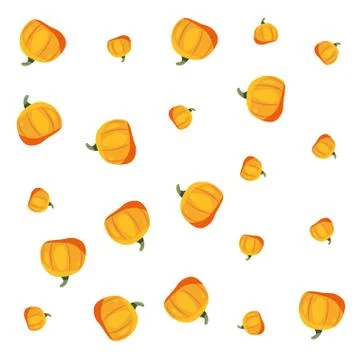 Pumpkin vegetable fresh background Stock Illustration