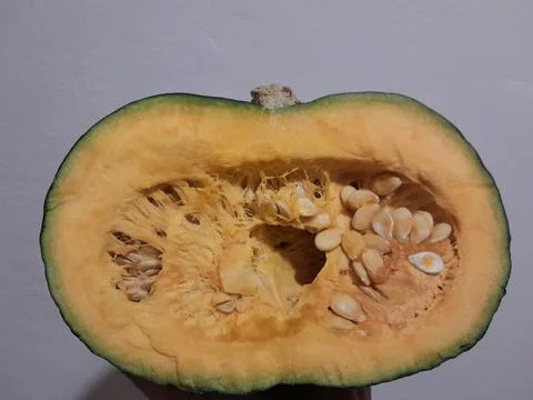 Pumpkin vegetable half piece. Stock Photos