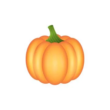 Pumpkin. Vegetable. Illustration-2. Stock Illustration