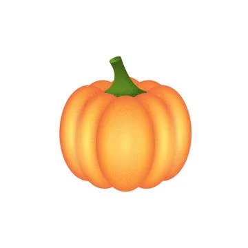Pumpkin. Vegetable. Illustration. Stock Illustration