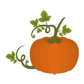 Pumpkin vegetable with leafs icon イラスト素材