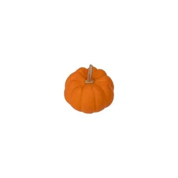 Pumpkin vegetables isolate on white background Stock Photos