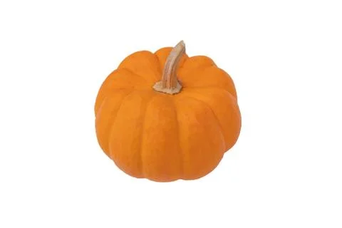 The pumpkin vegetables isolate on white background Stock Photos