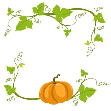 Pumpkin vine on a white background. Stock Illustration