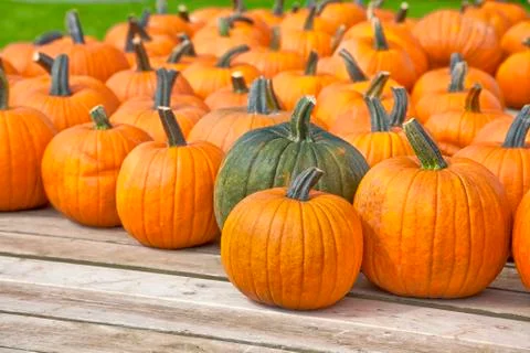 Pumpkin wagon Stock Photos