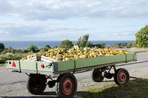 Pumpkin wagon at the road Stock Photos