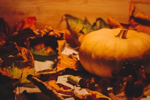 Pumpkin in warm orange light surrounded with fall leaves Stock Photos