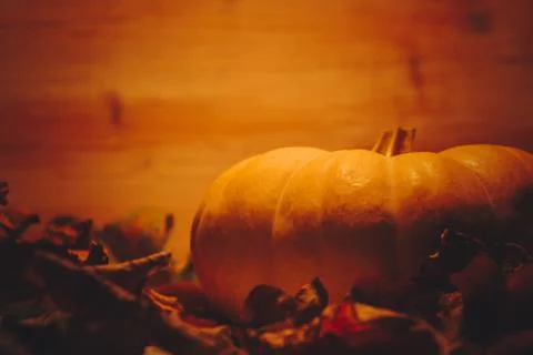Pumpkin in warm orange light surrounded with fall leaves Foto stock
