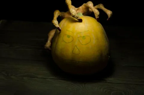 The pumpkin from which Stock Photos