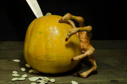 The pumpkin from which Stock Photos
