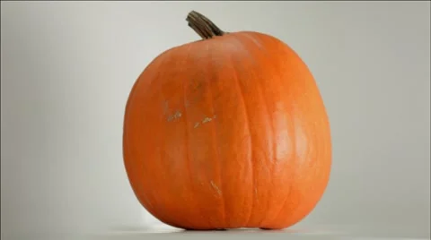 Pumpkin White Backdrop 360 Spin Stockbeeldmateriaal 68173007