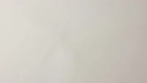 Pumpkin on a white background. Stock Footage 145535744