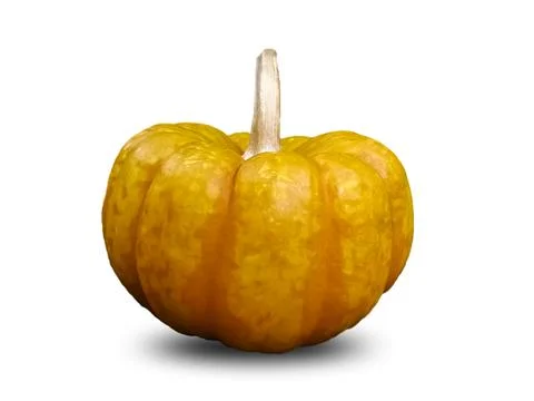 Pumpkin on a white background Stock Illustration