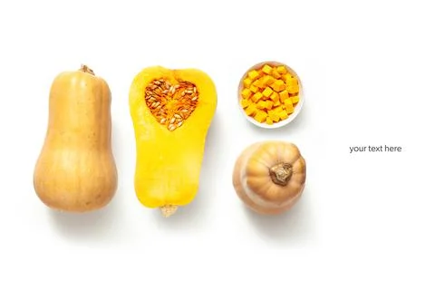 Pumpkin white background. Layout Stock Photos