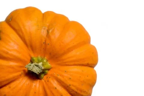 Pumpkin on white background 写真素材