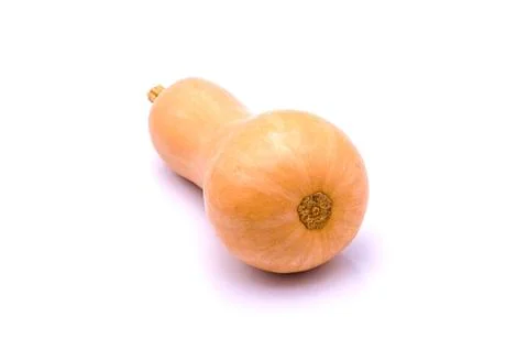 Pumpkin on white background Stock Photos