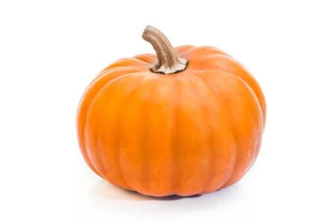 PUMPKIN ON WHITE BACKGROUND Stock Photos
