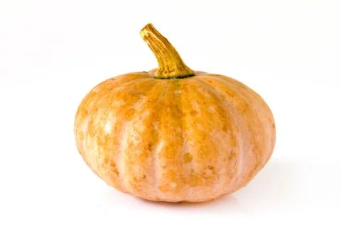 Pumpkin on white background Stock Photos