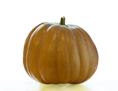 Pumpkin on white background Stock Photos