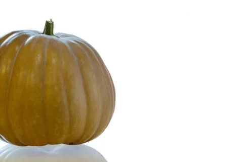Pumpkin on white background Stock Photos