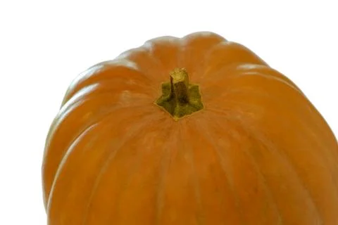 Pumpkin on white background Stock Photos