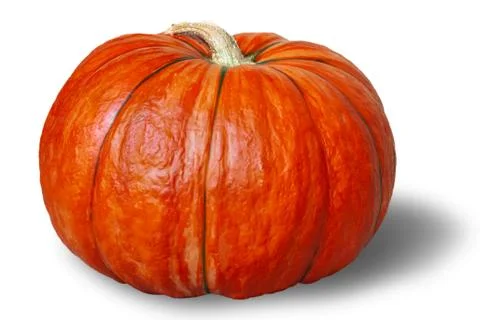 Pumpkin on white background. Stock Photos