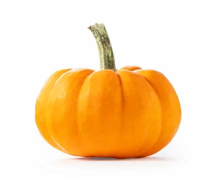Pumpkin on a white background Stock Photos