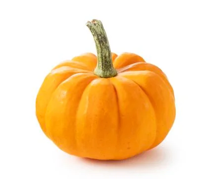Pumpkin on a white background Stock Photos
