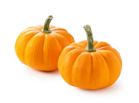 Pumpkin on a white background Stock Photos