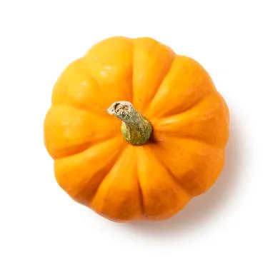 Pumpkin on a white background Stock Photos