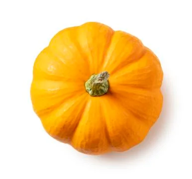 Pumpkin on a white background 写真素材