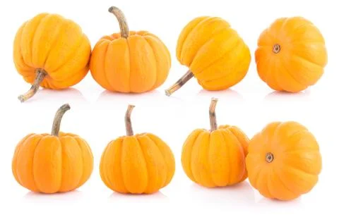 Pumpkin on white background Stock-Fotos