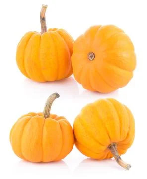 Pumpkin on white background Stock Photos