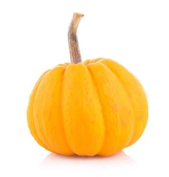 Pumpkin on white background Stock Photos