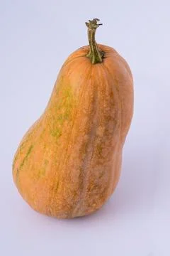 Pumpkin on white background Stock Photos