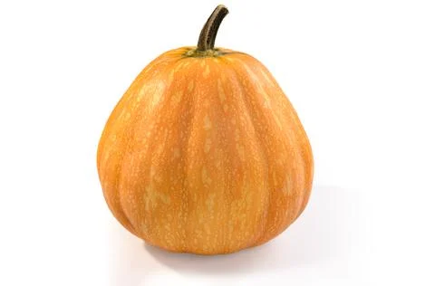 Pumpkin on white background with soft shadow Stock Photos