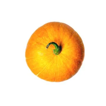 Pumpkin on a white isolated background Stock Photos