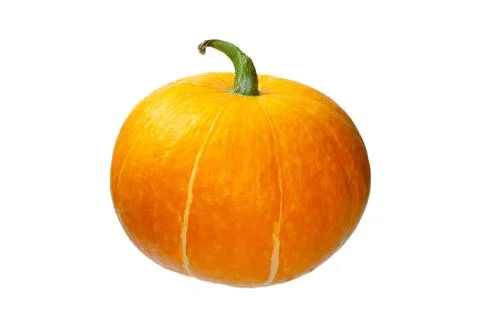 Pumpkin on a white isolated background Stock Photos