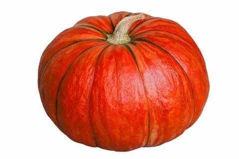 Pumpkin on white. Stock Photos