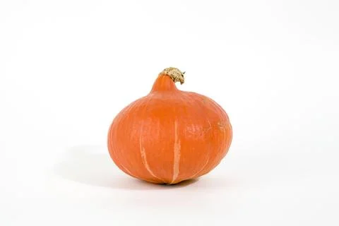 Pumpkin white Stock Photos