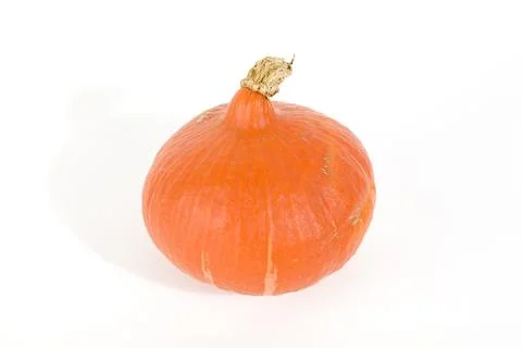 Pumpkin white Stock Photos