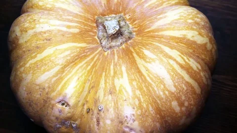 Pumpkin on a wooden table close up view Stock Footage 86523308
