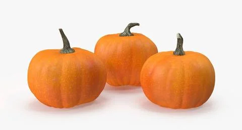 Pumpkins 3D Model